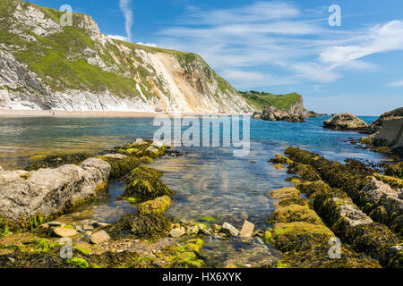 Blick in Fels-Pools unter den Kreidefelsen der Mann O'War Bay aus der Langdistanz South West Coast Path an der Jurassic Coast, Dorset, England Stockfoto