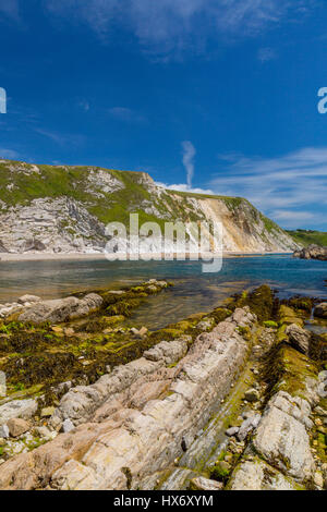 Blick in Fels-Pools unter den Kreidefelsen der Mann O'War Bay aus der Langdistanz South West Coast Path an der Jurassic Coast, Dorset, England Stockfoto