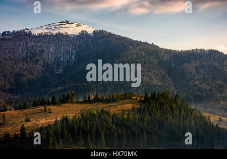 Bergrücken mit schneebedeckten Gipfeln. Wiesen im Nebel nahe dem Wald am Hang. schönen und lebendigen Frühling Landschaft. Stockfoto