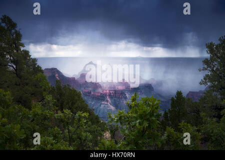 Regen Sturm. Bright Angel Point, North Rim. Grand-Canyon-Nationalpark. Stockfoto