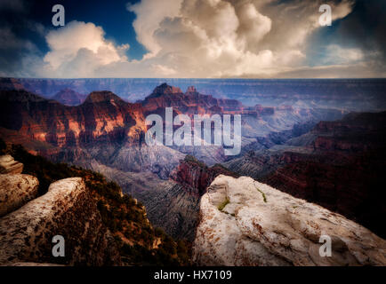 Ansicht des Grand Canyon von Bright Angel Point. North Rim des Grand Canyon National Park, Arizona Stockfoto