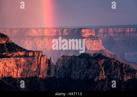 Ansicht des Grand Canyon mit Regenbogen von Bright Angel Point. North Rim des Grand Canyon National Park, Arizona Stockfoto