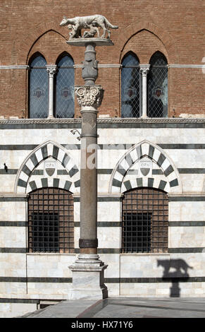 Wölfin mit Romulus und Remus vor den Dom von Siena, Toskana, Italien Stockfoto