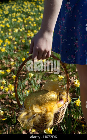 Mädchen mit Ostern Motorhaube auf ein Easter Egg hunt in Lancashire, UK Stockfoto