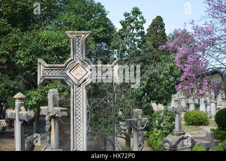 PALMA DE MALLORCA, Spanien - 23. März 2017: Tanatori Sohn Valenti Palma Friedhof Grabstein Kreuze Rosa blühenden Baum und überquert auf 23. März 2017 in Stockfoto