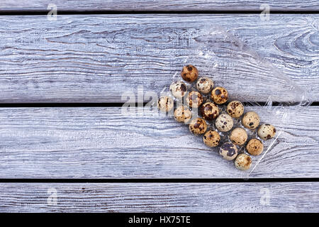 Wachteleier in Plastikbehälter. Stockfoto