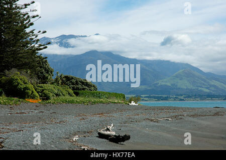 Ein felsiger Strand in Kaikoura, Neuseeland. Stockfoto