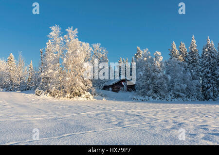 Herrliche Winterlandschaft Stockfoto