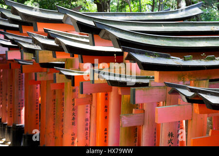 Leuchtend roten Torii im Shinto-Schrein, Kyoto Stockfoto