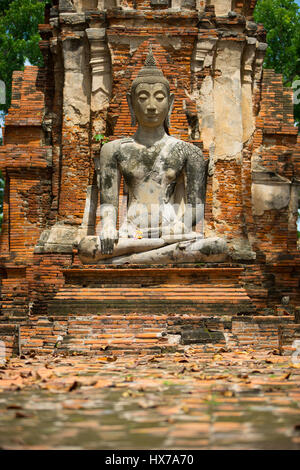 Buddha stand Kopf vor dem Ruin Ayutthaya, Thailand Stockfoto