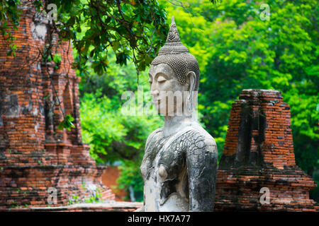 Buddha stand Kopf vor dem Ruin Ayutthaya, Thailand Stockfoto