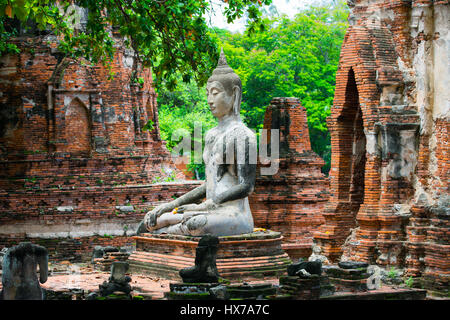 Buddha stand Kopf vor dem Ruin Ayutthaya, Thailand Stockfoto