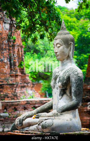 Buddha stand Kopf vor dem Ruin Ayutthaya, Thailand Stockfoto