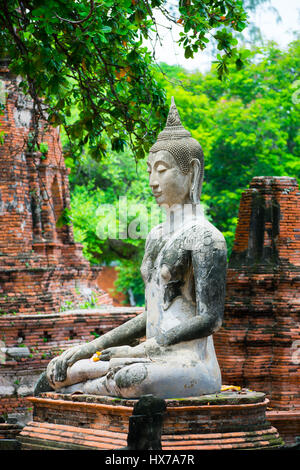 Buddha stand Kopf vor dem Ruin Ayutthaya, Thailand Stockfoto