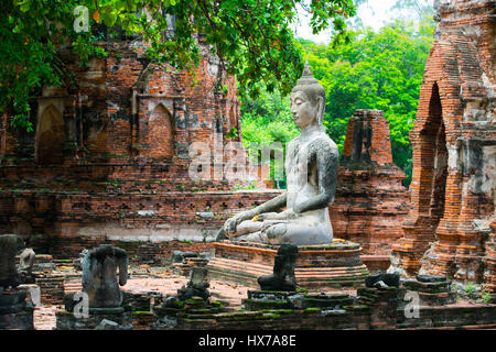 Buddha stand Kopf vor dem Ruin Ayutthaya, Thailand Stockfoto