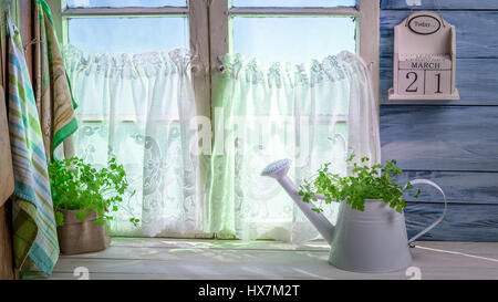 Bewässerung mit Kräutern in sonnige Küche stehen Stockfoto