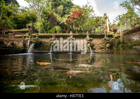 Heilquelle in Pura Tirta Empul, Ubud, Bali-Tempel Stockfoto