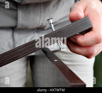 Installation und Montage von Möbeln, Verwendung von Verbindungselementen, Holzschraube für die Verbindung von zwei Platten Spanplatten Schrauben Farbe dunkel braun Wenge, clos Stockfoto