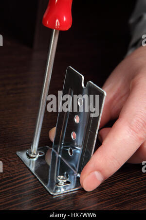 Möbelmontage, Montagewinkel Gleitschienen mit einem Hand-Schraubenzieher. Stockfoto