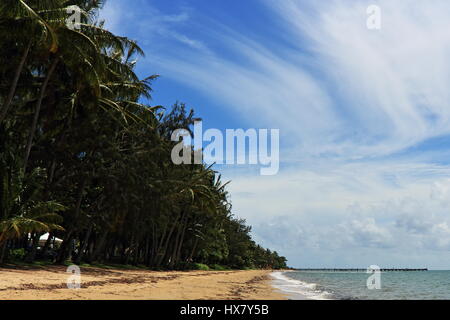 Der Norden Aspekt gegenüber der Anlegestelle der tropischen Sandstrand gesäumt von Palmen, mit blauen Himmel und weiße Wolkenfetzen... eines morgens in Palm Cove Stockfoto