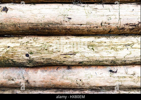 Weihnachts-Ball auf dem Baum im Hintergrund mit anderen Dekorationen und Girlanden. Textfreiraum. Stockfoto