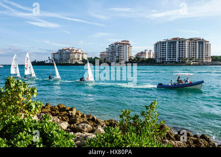 Miami Beach Florida, South Pointe Park, Government Cut, Wasser, Motorboot, Segelboot, Segeljolle, Segel, Abschleppen, Blick auf Fisher Island, am Wasser, luxuriöse Ferienwohnung Stockfoto
