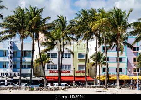 Miami Beach, Florida, Ocean Drive, historisches Art déco-Viertel, Lummus Park, Palmen, Colony Hotel, Boulevard Hotel, Starlite, Hotel, FL170221014 Stockfoto