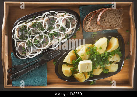 Stücke von einem Hering mit Ringen aus Zwiebeln und Fenchel, heiße gekochte Kartoffeln mit Frühlingszwiebeln und ein Stück Butter auf zwei Keramikplatten einer Ovoidny Form auf einem Holztablett aus einem Bambus Stockfoto