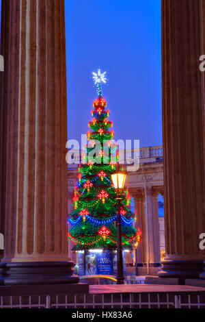 Sankt Petersburg, Russland - 15. Dezember 2015: Neujahr Tanne in der Nähe der Kasaner Kathedrale in der Abend-Beleuchtung. Stockfoto