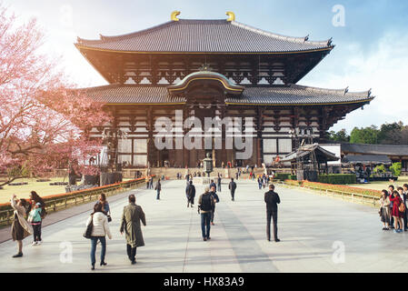 NARA, JAPAN - 24.März: Kirschbaum außerhalb Todai-Ji-Tempel in Nara, Japan Stockfoto