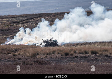 Wildhüter mit Quad Steuern Heather Brennen auf Hochmoor, in der Nähe von Reeth, North Yorkshire. Brennt verjüngt die Heide von Grouse moor Stockfoto