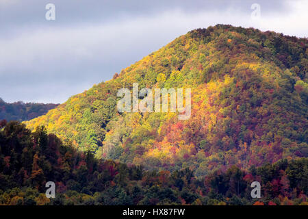 Hervorgehobene Herbst Bäume in der Blue-Ridge Stockfoto