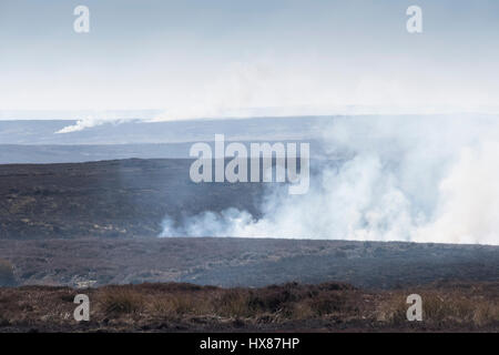 Verschiedenen Heather brennen Websites wie über das Moorhuhn Mauren von North Yorkshire auf eine trockene Märztag. Blick vom wie Tallon, County Durham Stockfoto