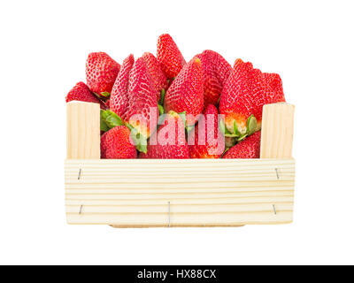 Große reife Erdbeeren in der Holzkiste, isoliert auf weiss Stockfoto