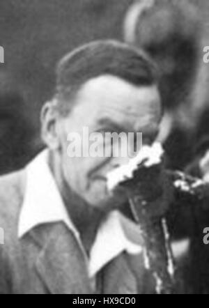 Woolley, halten die gehärteten Gipsform von einer Leier (beschnitten) Stockfoto