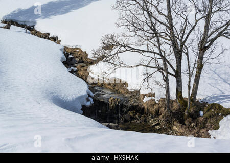 Winterlandschaft an einem sonnigen Tag. Kleiner Bach von Laubbäumen umgeben von verschneiten Wiesen gesäumt. Zentralschweiz. Stockfoto