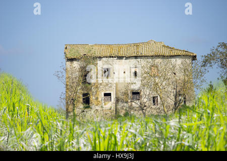 Alten, zerstörten und gruseligen Haus in einem Winter, klaren und sonnigen Tag in einem Feld mit grünen Rasen Stockfoto