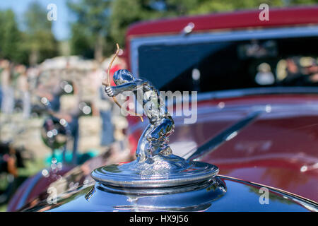 Selektiven Fokus auf die Kühlerfigur eines 1933-Pierce-Arrow 1236-Limousine Stockfoto