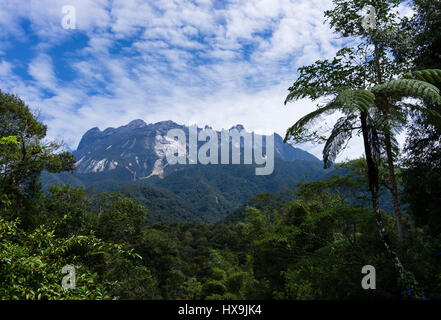 Schöne Aussicht auf den Mount Kinabalu mit Bäume und Farne, Sabah, Borneo, Malaysia. Stockfoto