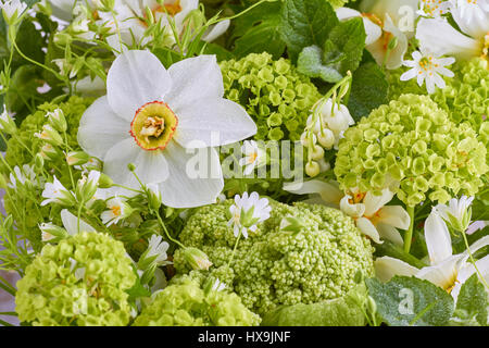 Nahaufnahme von verschiedenen frischen Frühlingsblumen Stockfoto