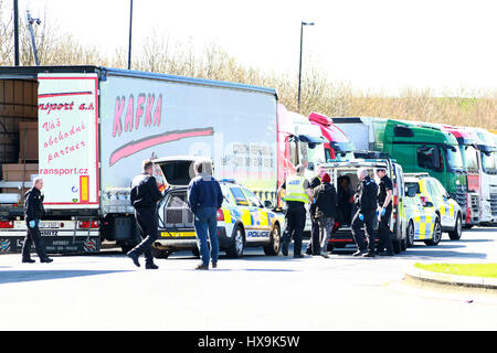 Peterborough, UK. 25. März 2017. Illegale Einwanderer. Peterborough, Cambridgeshire. 25. März 2017. Cambridgeshire Polizei hielt einen LKW aus der Tschechischen Republik, nachdem der Fahrer sie rief zu ihnen sagen, dass er dachte, es könnte Menschen im Inneren. Die Polizei fand 3 Männer, die ihre Reise in Eritrea, Ost-Afrika begonnen. Ihre illegale Reise beendet in Peterborough, Cambridgeshire. Bildnachweis: Paul Marriott/Alamy Live-Nachrichten Stockfoto