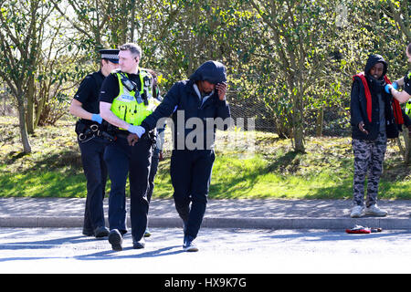 Peterborough, UK. 25. März 2017. Illegale Einwanderer. Peterborough, Cambridgeshire. 25. März 2017. Cambridgeshire Polizei hielt einen LKW aus der Tschechischen Republik, nachdem der Fahrer sie rief zu ihnen sagen, dass er dachte, es könnte Menschen im Inneren. Die Polizei fand 3 Männer, die ihre Reise in Eritrea, Ost-Afrika begonnen. Ihre illegale Reise beendet in Peterborough, Cambridgeshire. Bildnachweis: Paul Marriott/Alamy Live-Nachrichten Stockfoto