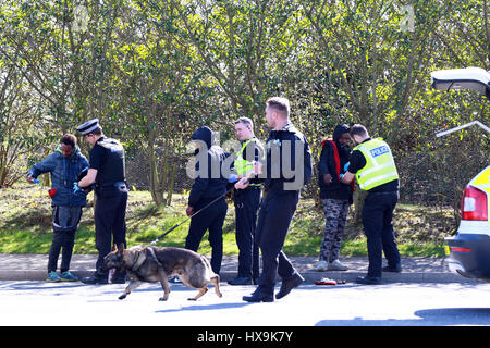 Peterborough, UK. 25. März 2017. Illegale Einwanderer. Peterborough, Cambridgeshire. 25. März 2017. Cambridgeshire Polizei hielt einen LKW aus der Tschechischen Republik, nachdem der Fahrer sie rief zu ihnen sagen, dass er dachte, es könnte Menschen im Inneren. Die Polizei fand 3 Männer, die ihre Reise in Eritrea, Ost-Afrika begonnen. Ihre illegale Reise beendet in Peterborough, Cambridgeshire. Bildnachweis: Paul Marriott/Alamy Live-Nachrichten Stockfoto