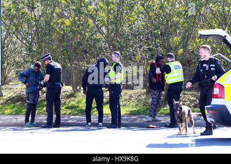 Peterborough, UK. 25. März 2017. Illegale Einwanderer. Peterborough, Cambridgeshire. 25. März 2017. Cambridgeshire Polizei hielt einen LKW aus der Tschechischen Republik, nachdem der Fahrer sie rief zu ihnen sagen, dass er dachte, es könnte Menschen im Inneren. Die Polizei fand 3 Männer, die ihre Reise in Eritrea, Ost-Afrika begonnen. Ihre illegale Reise beendet in Peterborough, Cambridgeshire. Bildnachweis: Paul Marriott/Alamy Live-Nachrichten Stockfoto