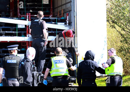 Peterborough, UK. 25. März 2017. Illegale Einwanderer. Peterborough, Cambridgeshire. 25. März 2017. Cambridgeshire Polizei hielt einen LKW aus der Tschechischen Republik, nachdem der Fahrer sie rief zu ihnen sagen, dass er dachte, es könnte Menschen im Inneren. Die Polizei fand 3 Männer, die ihre Reise in Eritrea, Ost-Afrika begonnen. Ihre illegale Reise beendet in Peterborough, Cambridgeshire. Bildnachweis: Paul Marriott/Alamy Live-Nachrichten Stockfoto