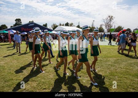 Melbourne, Australien. 26. März 2017.  Innerhalb der Tore während der 2017 Formel 1 Rolex Australian Grand Prix, Australien am 26. März 2017. Bildnachweis: Dave Hewison Sport/Alamy Live-Nachrichten Stockfoto