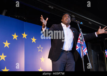 London, UK. 25. März 2017. David Lammy, Arbeits-Wartungstafel für Tottenham, befasst sich Zehntausende von Pro-EU-Aktivisten auf dem Marsch für Europa. Bildnachweis: Mark Kerrison/Alamy Live-Nachrichten Stockfoto