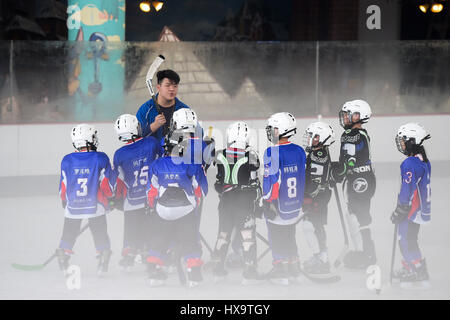 (170326)--GUANGZHOU, 26. März 2017 (Xinhua)--Zhang Wenxuan (3. L), Eishockey-Trainer des Rollerfun Sport Ware Co., Ltd, besucht eine Trainingseinheit mit den Spielern des Inline-Hockey-Mannschaft aus Guangzhou Pui Ching-Grundschule in Guangzhou, Hauptstadt der südchinesischen Provinz Guangdong, 12. März 2017. Zhang Wenxuan war der Kapitän der Inline-Hockey Mannschaft der Mittelschule Guangzhou Nr. 4. Nach einem Jahr nach Abschluss er verließ seinen Job und begann eine Karriere als Eishockeyspieler Trainer wegen seiner tiefen Liebe für den Sport.    Beim bieten für das Jahr 2022 Olympischen Winterspiele, China Stockfoto