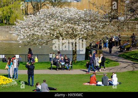 Bath, Großbritannien. 26. März 2017. Besucher zu Bath Parade Gardens sind abgebildet unter Weening von der warmen Frühlingssonne. Bildnachweis: Lynchpics/Alamy Live-Nachrichten Stockfoto