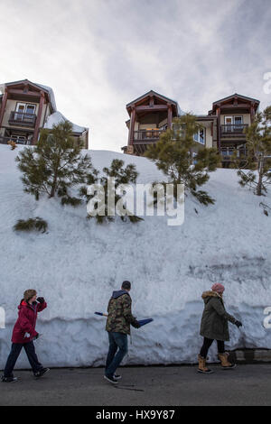 Mammoth Lakes, Kalifornien, USA. 4. März 2017. Die Menschen gehen vorbei an Bäumen im tiefen Schnee in der Nähe von Eagle Lodge in Mammoth begraben. 43 Fuß Schnee gefallen am Mammoth Mountain Ski Resort in Südkalifornien, mit Schnee hoch aufgetürmt um Kabinen. Neue Messungen der California Department of Water Resources zeigen, dass historisch hohen Schneedecke Ebenen in der Sierra Nevada Kaliforniens unglaublich nassen Winter geführt hat, unterstreicht den Zustand schnelle März aus Trockenheit. Die Berge der Sierra Nevada bieten etwa ein Drittel der kalifornischen Wasser bei der Schneeschmelze im Frühjahr und Stockfoto